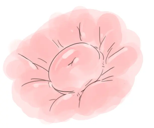 넷캔
